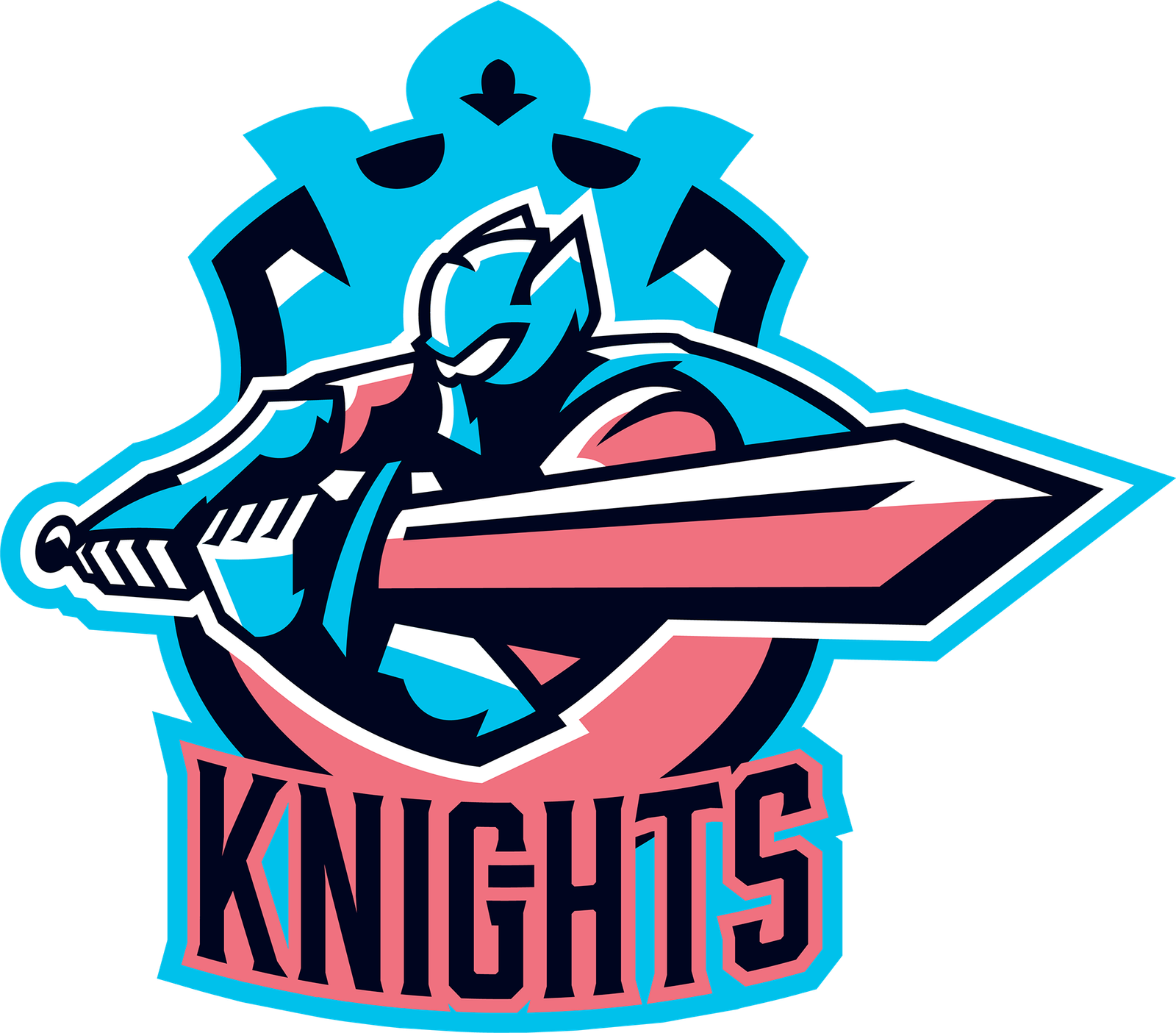 Team Logo