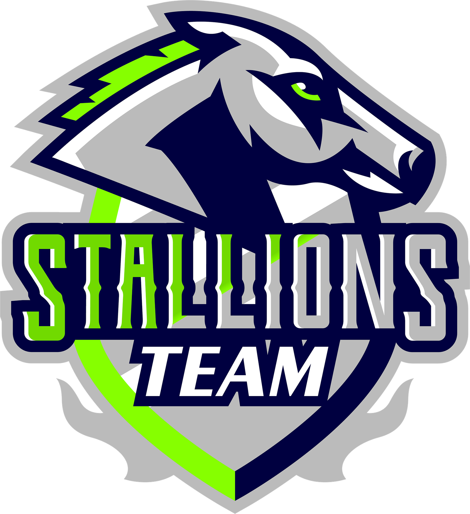 Team Logo